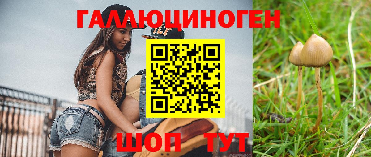 Галлюциногенные грибы Psilocybe  Вход с VPN  Карабулак 