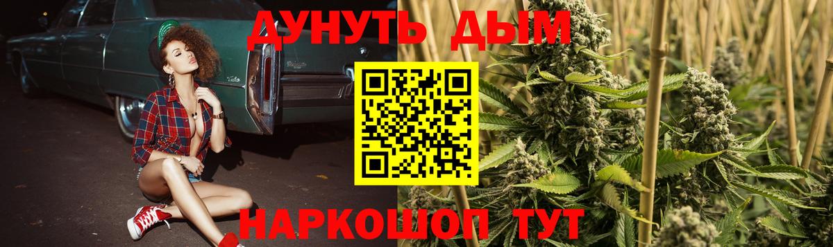 Марихуана THC 21%  Вход с VPN  МАРИХУАНА VHQ  Карабулак  Канабис сатива  Каннабис White Widow 